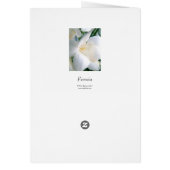 Freesia | White | Cards (Back)
