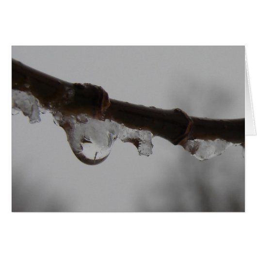 Freezing Rain Cards (Front Horizontal)