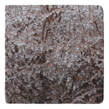 Freezing Rain Trivet