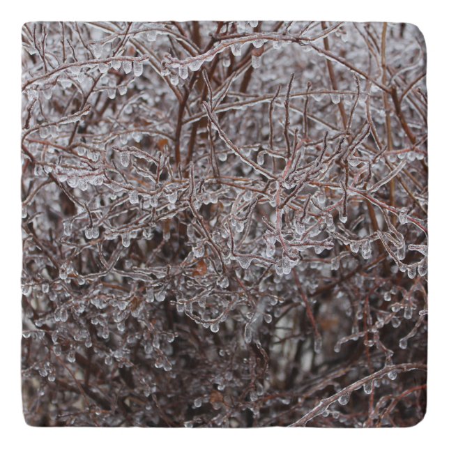 Freezing Rain Trivet (Front)