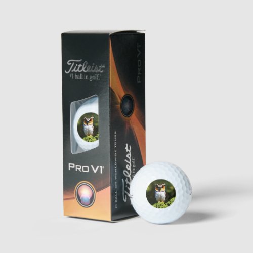 Freida The Screech Owl Golf Balls