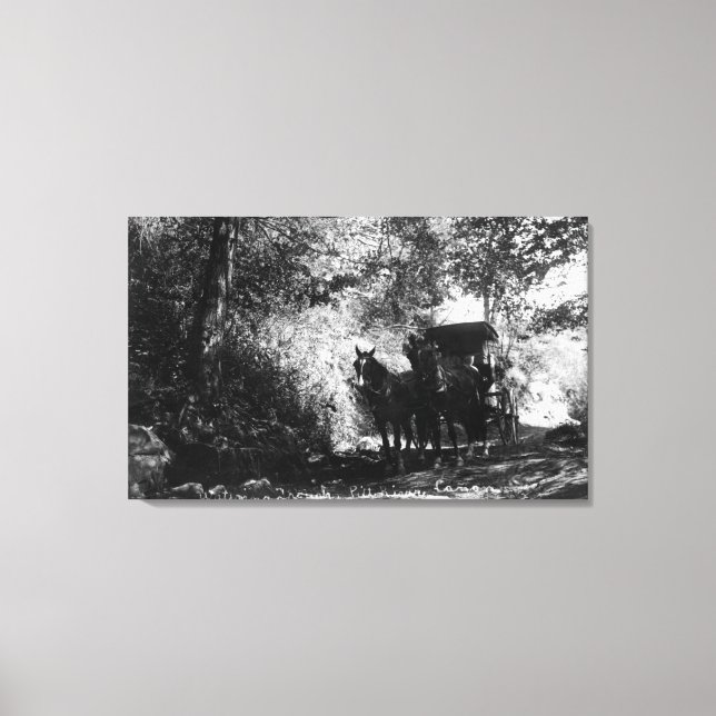 Freight Horses Taking a Break Canvas Print (Front)