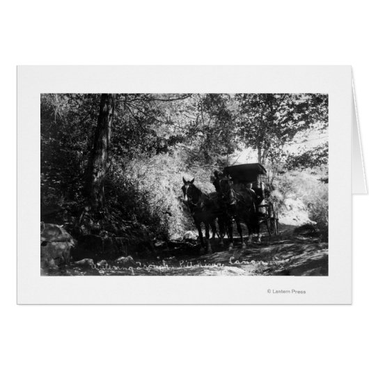 Freight Horses Taking a Break Cards (Front Horizontal)
