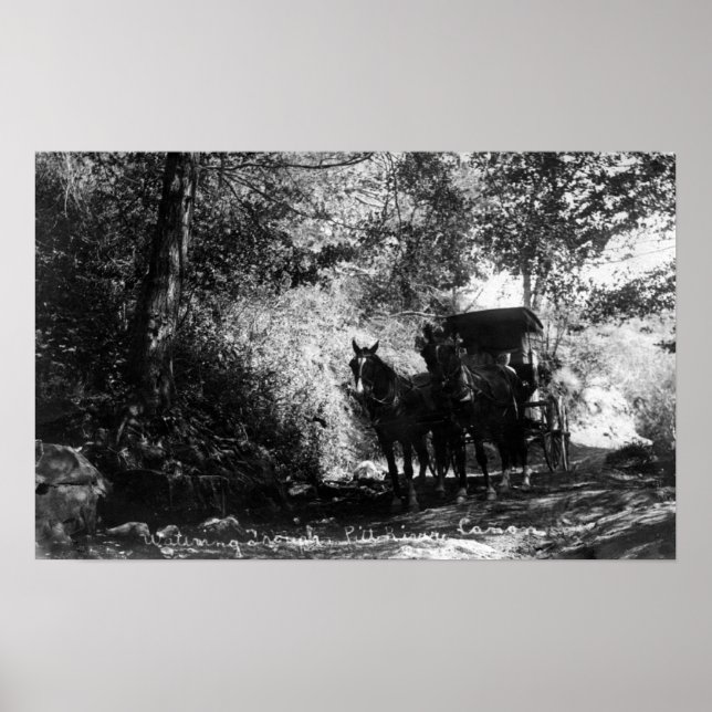 Freight Horses Taking a Break Poster (Front)