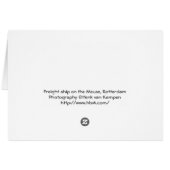 Freight ship on the Meuse, Rotterdam Cards (Back Horizontal)