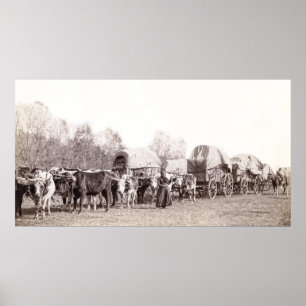 FREIGHT WAGON TRAIN c. 1887 Poster
