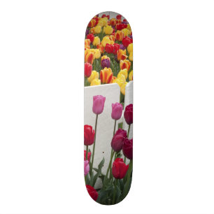 Fremont Solstice Parade Skateboard Deck