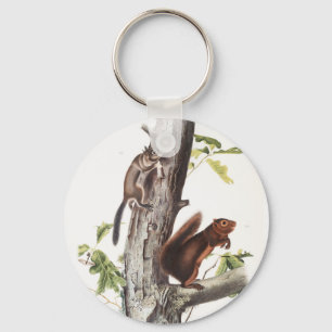 Fremont's Squirrel and Sooty Squirrel Illustration Keychain