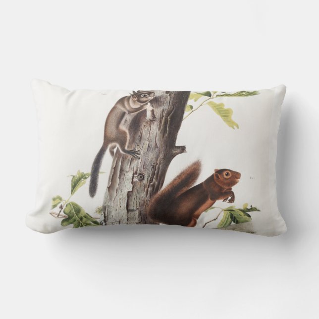 Fremont's Squirrel and Sooty Squirrel Illustration Lumbar Pillow (Front)