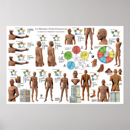 French Acupuncture Meridians Points Chart