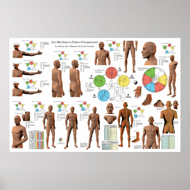 French Acupuncture Meridians Points Chart (Front)