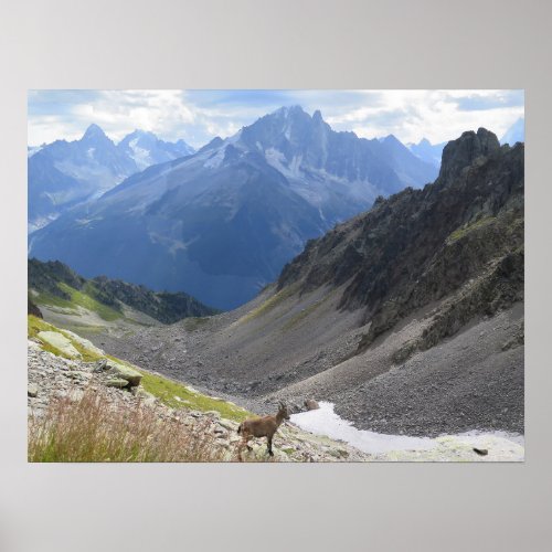 French Alps Chamonix Ibex Poster