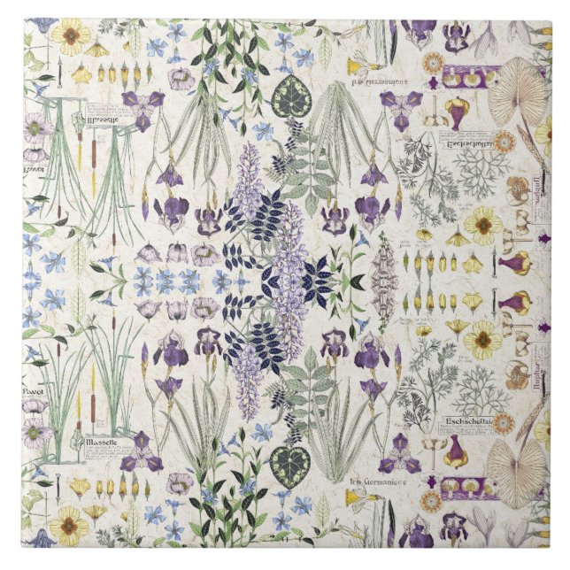 French Art Nouveau Botanical Flowers Ceramic Tile (Front)