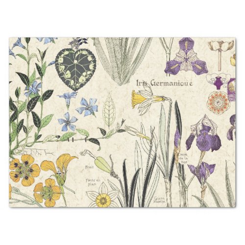French Art Nouveau Iris Flowers Tissue Paper