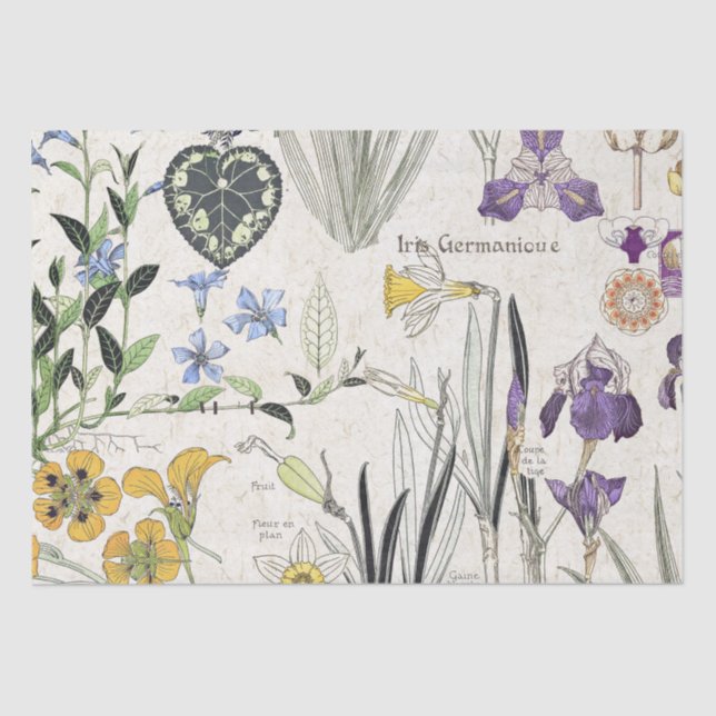 French Art Nouveau Iris Flowers Tissue Paper (Front)
