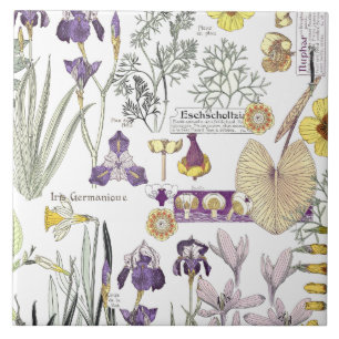 French Art Nouveau Vintage Flower Ceramic Tile