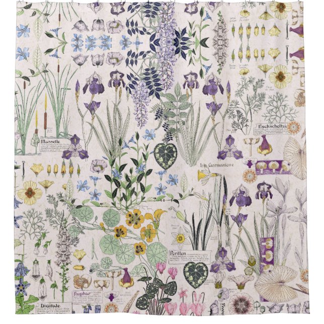 French Art Nouveau Vintage Flowers Shower Curtain (Front)
