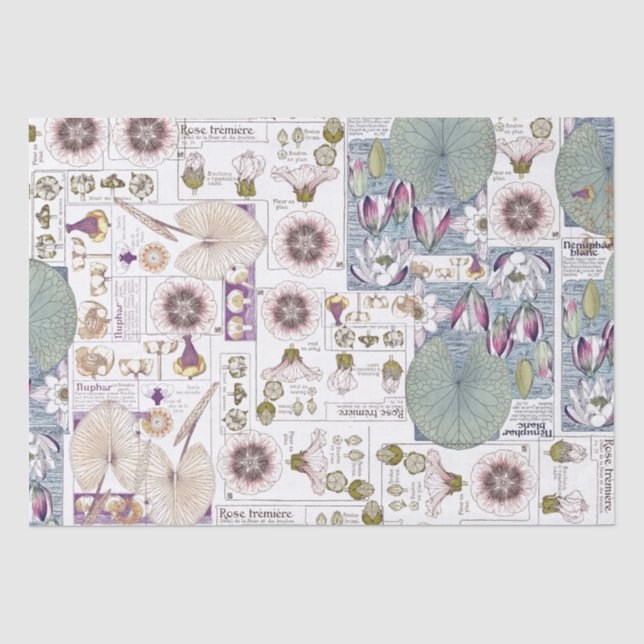 French Art Nouveau Waterlily Flowers Tissue Paper (Front)