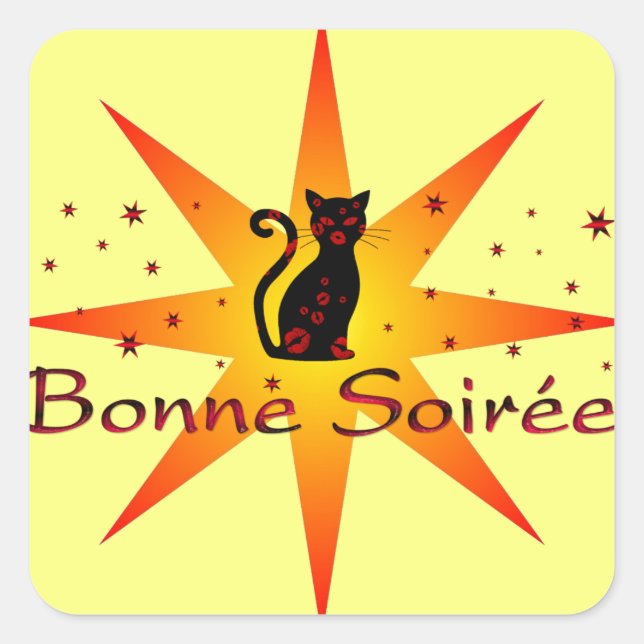 French:Bonne Soiree Square Sticker (Front)