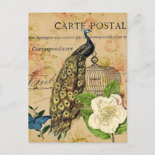 french botanical camellia birdcage vintage peacock postcard