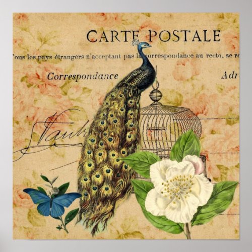 french botanical camellia birdcage vintage peacock poster