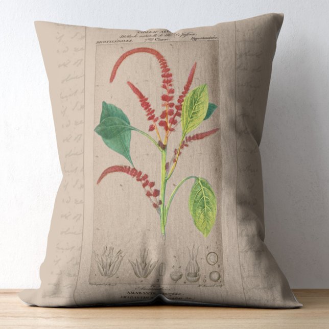 French Botanical Illustration Amaranthus Accent Pillow (Creator Uploaded)