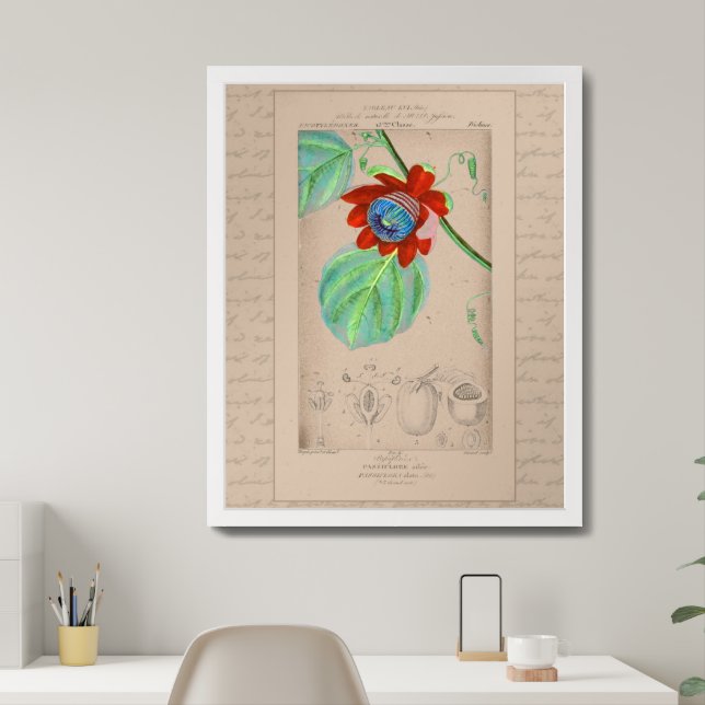 French Botanical Illustration Passionflower Framed Art (Home Office)