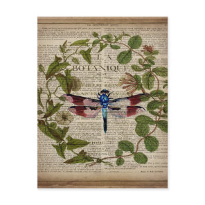 french botanical leaves modern vintage dragonfly postcard