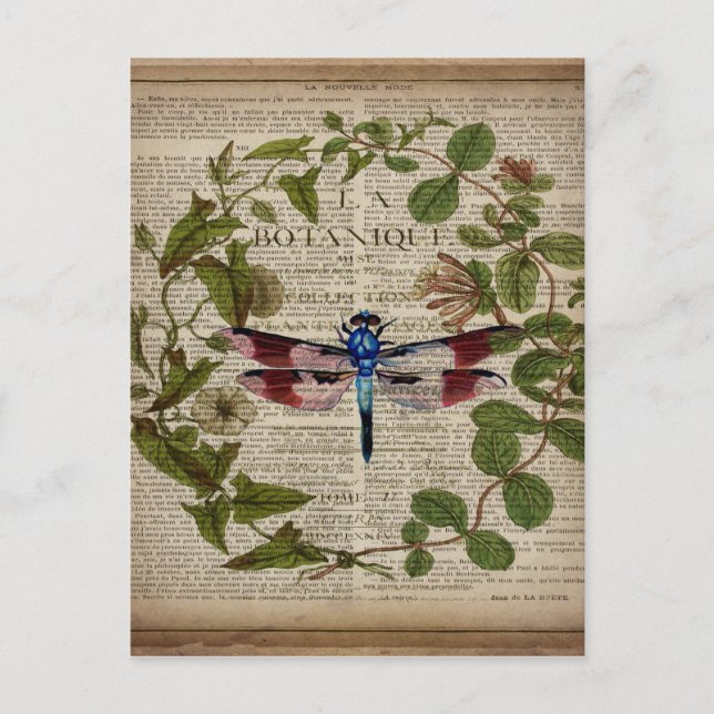 french botanical leaves modern vintage dragonfly postcard (Front)