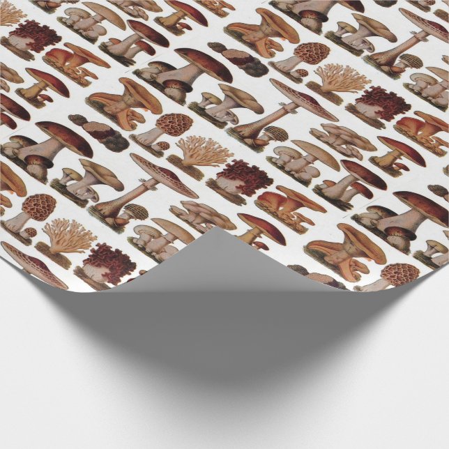 french botanical woodland vintage mushroom wrapping paper (Corner)