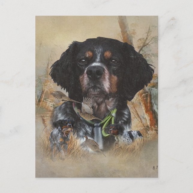 French Brittany, Bird Hunting Art  Postcard (Front)