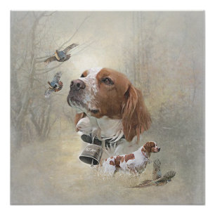 French Brittany, Bird Hunting Art  Poster