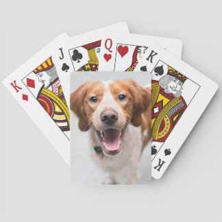 French Brittany Spaniel Playin Cards