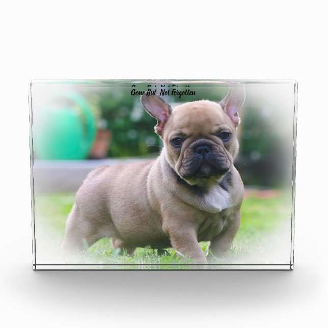 French Bull Dog. Acrylic Award (Front)