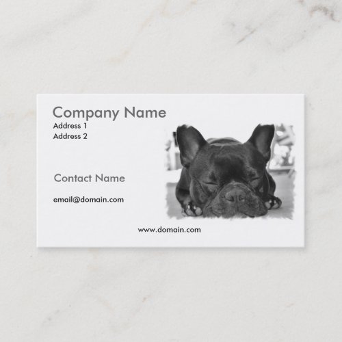 French Bull Dog Business Card