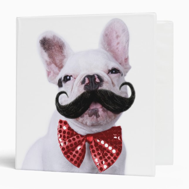 French Bull Dog Puppy With Mustache 3 Ring Binder (Front/Inside)
