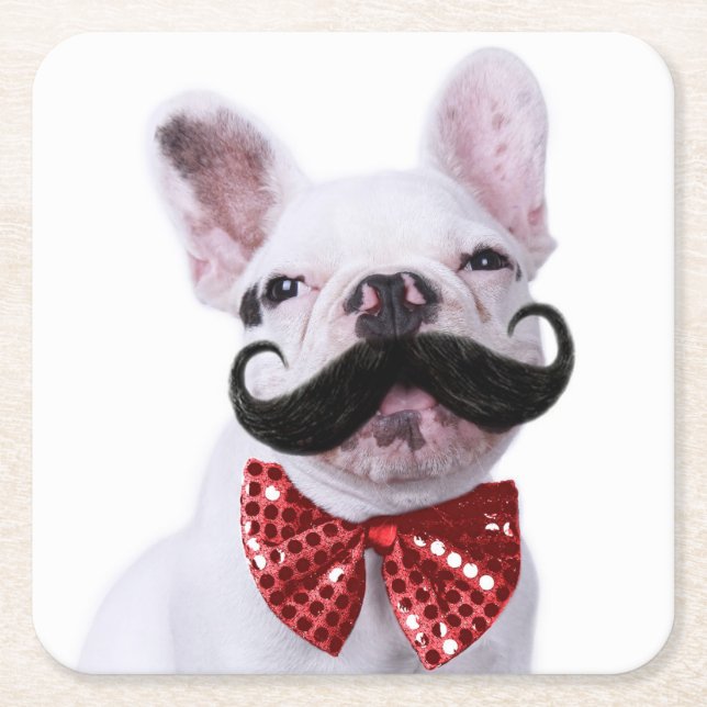 French Bull Dog Puppy With Mustache Square Paper Coaster (Front)