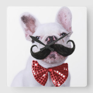 French Bull Dog Puppy With Mustache Square Wall Clock