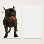 French Bulldog (Front & Back)