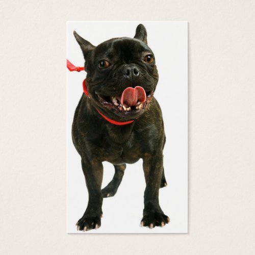 French Bulldog Business Card Templates