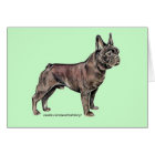 French Bulldog!