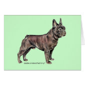 French Bulldog! (Front Horizontal)