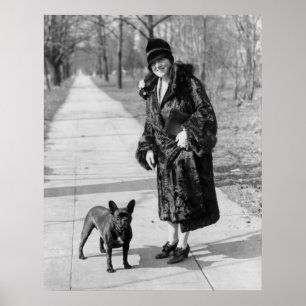 French Bulldog, 1920s Poster