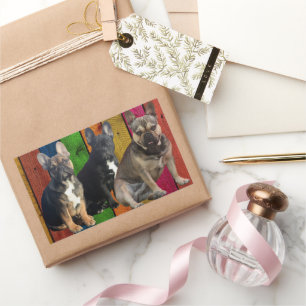 French Bulldog 3 dogs French Bulldog Rectangular Sticker
