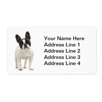 French Bulldog Address Labels by roughcollie at Zazzle