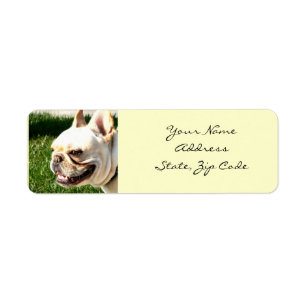 French Bulldog Address Labels