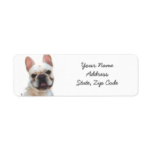 French Bulldog Address Labels