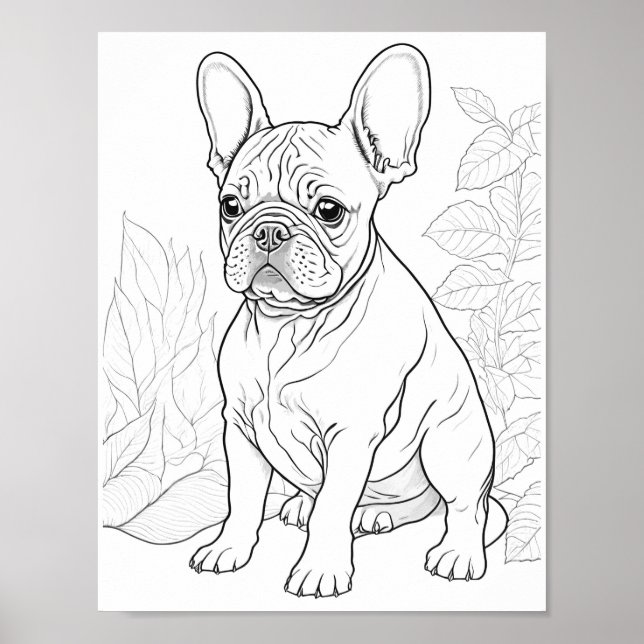 French Bulldog Adult Coloring Poster (Front)