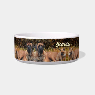 French Bulldog and Mastiff friends Bowl