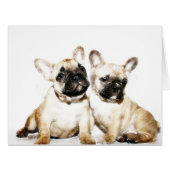 French Bulldog art (Front Horizontal)